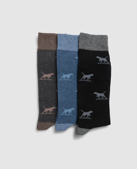 Rodd & Gunn, Rodd & Gunn Dogs-A-Plenty 3 Pack Sock - (Biz Multi)