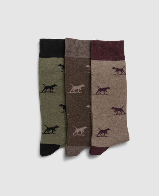 Rodd & Gunn, Rodd & Gunn Dogs-A-Plenty 3 Pack Sock - (Earth Multi)