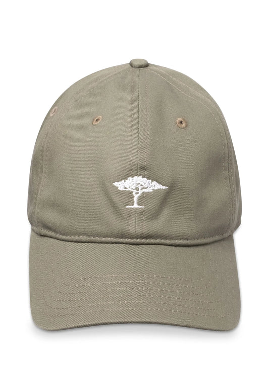 the New Tree Cap